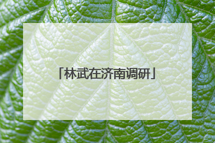 林武在济南调研
