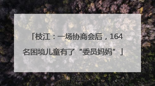 枝江：一场协商会后，164名困境儿童有了“委员妈妈”