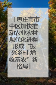 枣庄市市中区加快推动农业农村现代化进程 形成“振兴乡村 增收富农”新格局
