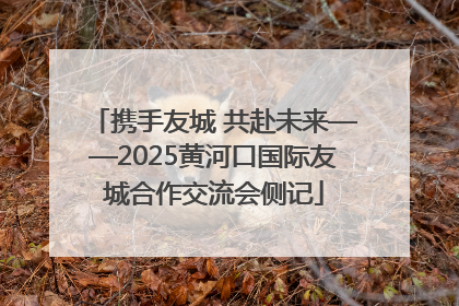 携手友城 共赴未来——2025黄河口国际友城合作交流会侧记
