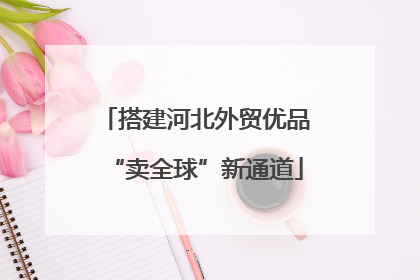 搭建河北外贸优品“卖全球”新通道