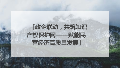 政企联动，共筑知识产权保护网——赋能民营经济高质量发展