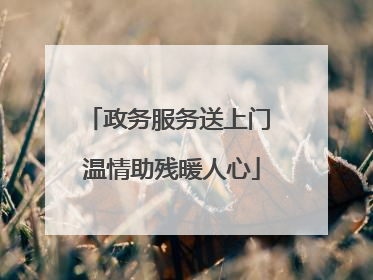 政务服务送上门 温情助残暖人心