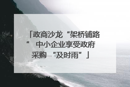政商沙龙“架桥铺路” 中小企业享受政府采购 “及时雨”