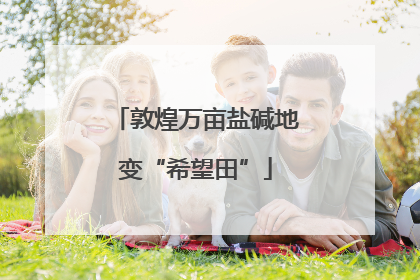 敦煌万亩盐碱地变“希望田”