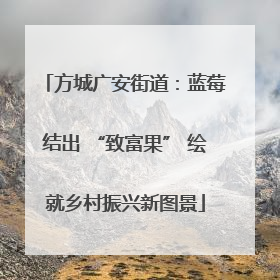 方城广安街道：蓝莓结出 “致富果” 绘就乡村振兴新图景
