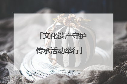 文化遗产守护传承活动举行