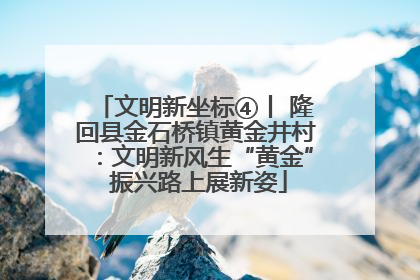 文明新坐标④丨 隆回县金石桥镇黄金井村：文明新风生“黄金” 振兴路上展新姿