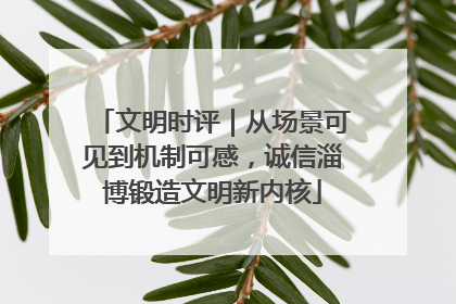 文明时评｜从场景可见到机制可感，诚信淄博锻造文明新内核