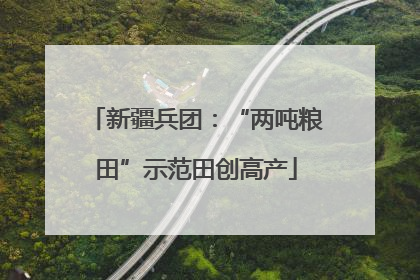 新疆兵团：“两吨粮田”示范田创高产