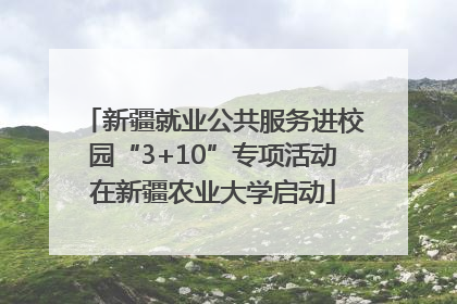 新疆就业公共服务进校园“3+10”专项活动在新疆农业大学启动