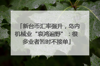 新台币汇率强升，岛内机械业“哀鸿遍野”：很多业者暂时不接单