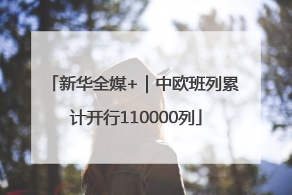 新华全媒+｜中欧班列累计开行110000列