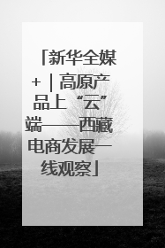 新华全媒+｜高原产品上“云”端——西藏电商发展一线观察