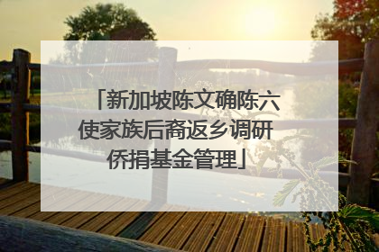 新加坡陈文确陈六使家族后裔返乡调研侨捐基金管理