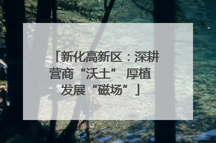 新化高新区：深耕营商“沃土” 厚植发展“磁场”