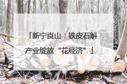 新宁崀山：铁皮石斛产业绽放“花经济”