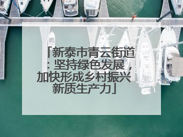 新泰市青云街道：坚持绿色发展，加快形成乡村振兴新质生产力