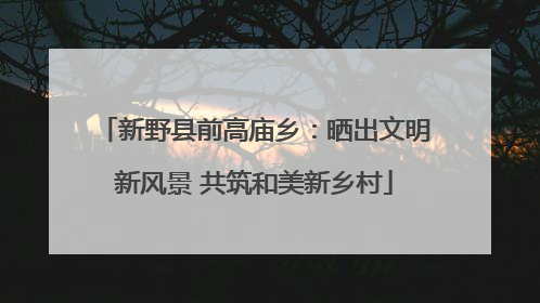 新野县前高庙乡：晒出文明新风景 共筑和美新乡村