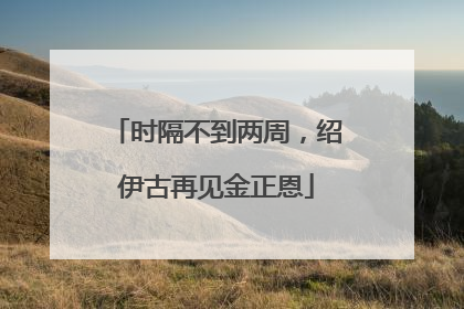 时隔不到两周，绍伊古再见金正恩
