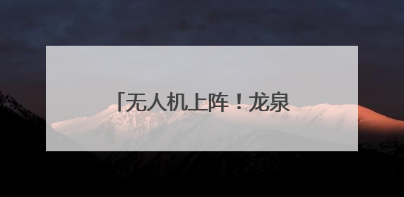 无人机上阵！龙泉“飞防”作业助力松材线虫病防治