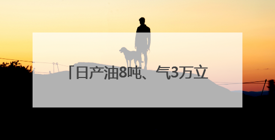 日产油8吨、气3万立方米 大庆油田营页1H井页岩油试采“逆袭”