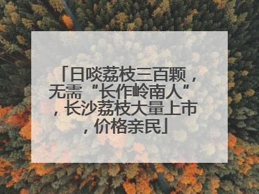 日啖荔枝三百颗，无需“长作岭南人”，长沙荔枝大量上市，价格亲民