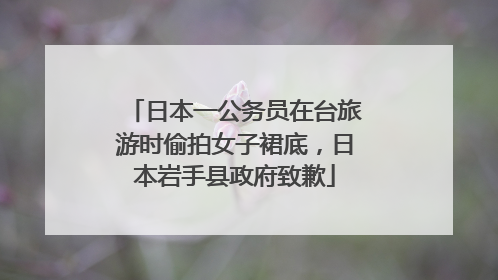 日本一公务员在台旅游时偷拍女子裙底，日本岩手县政府致歉