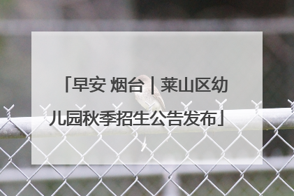 早安 烟台｜莱山区幼儿园秋季招生公告发布