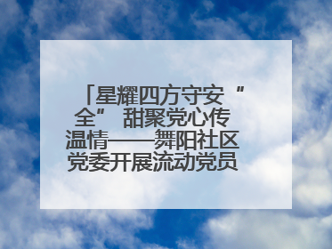 星耀四方守安“全” 甜聚党心传温情——舞阳社区党委开展流动党员建党节主题活动