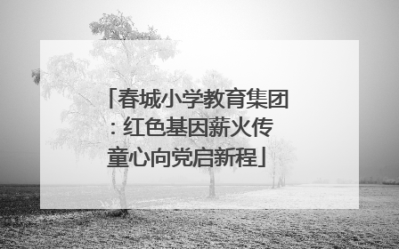 春城小学教育集团：红色基因薪火传 童心向党启新程