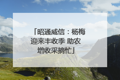 昭通威信：杨梅迎来丰收季 助农增收采摘忙