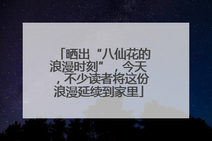 晒出“八仙花的浪漫时刻”，今天，不少读者将这份浪漫延续到家里
