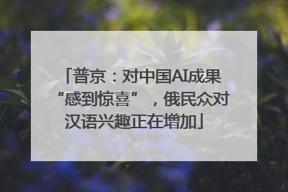 普京：对中国AI成果“感到惊喜”，俄民众对汉语兴趣正在增加