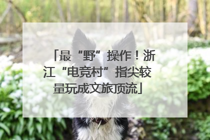 最“野”操作！浙江“电竞村”指尖较量玩成文旅顶流