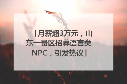 月薪超3万元，山东一景区招募语言类NPC，引发热议