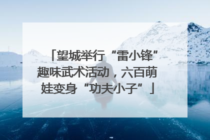 望城举行“雷小锋”趣味武术活动，六百萌娃变身“功夫小子”
