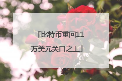 比特币重回11万美元关口之上