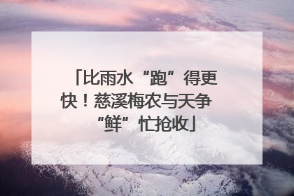 比雨水“跑”得更快！慈溪梅农与天争“鲜”忙抢收
