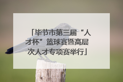 毕节市第三届“人才杯”篮球赛暨高层次人才专项赛举行