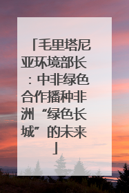毛里塔尼亚环境部长：中非绿色合作播种非洲“绿色长城”的未来