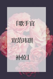 歌手官宣范玮琪补位