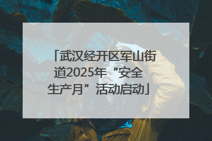 武汉经开区军山街道2025年“安全生产月”活动启动