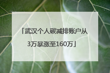 武汉个人碳减排账户从3万暴涨至160万