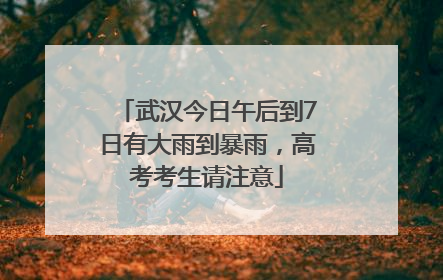 武汉今日午后到7日有大雨到暴雨，高考考生请注意
