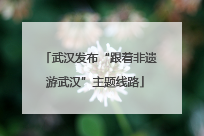 武汉发布“跟着非遗游武汉”主题线路