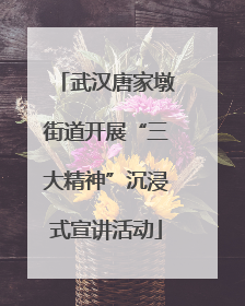 武汉唐家墩街道开展“三大精神”沉浸式宣讲活动