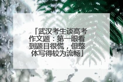 武汉考生谈高考作文题：第一眼看到题目很慌，但整体写得较为流畅