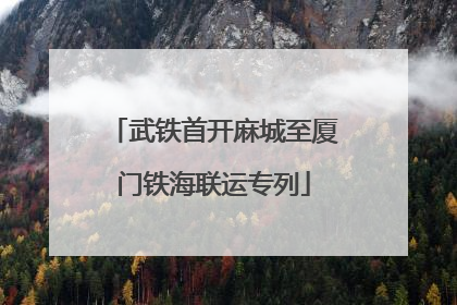 武铁首开麻城至厦门铁海联运专列
