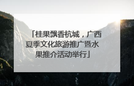 桂果飘香杭城，广西夏季文化旅游推广暨水果推介活动举行